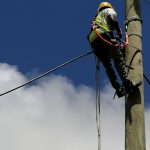 Pole Climber at work